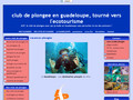 plongez en guadeloupe, sur la Réserve Cousteau