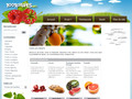 Tous les fruits